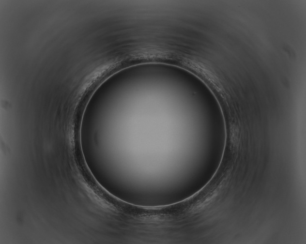 X0000090990629200708021523