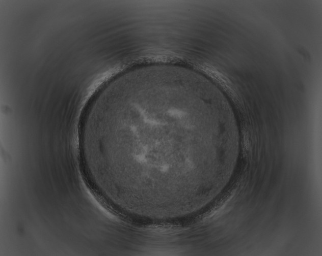 X0000090990630200708021523