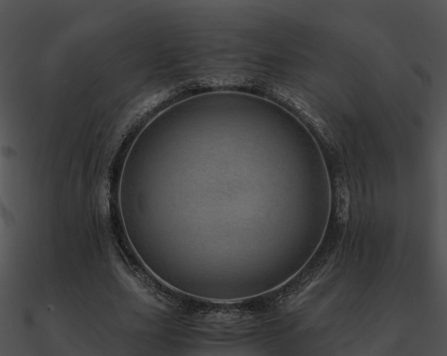 X0000090990631200708021523