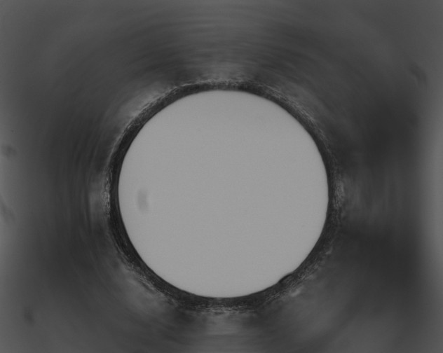 X0000090990632200708021523