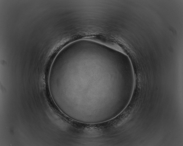 X0000090990634200708021523