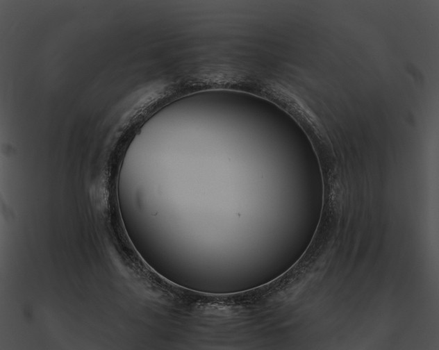 X0000090990635200708021523