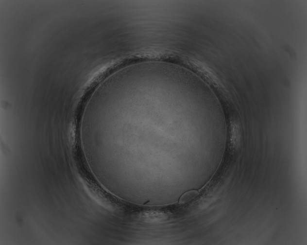 X0000090990636200708021523