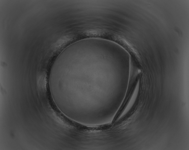 X0000090990637200708021523