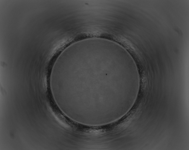 X0000090990638200708021523