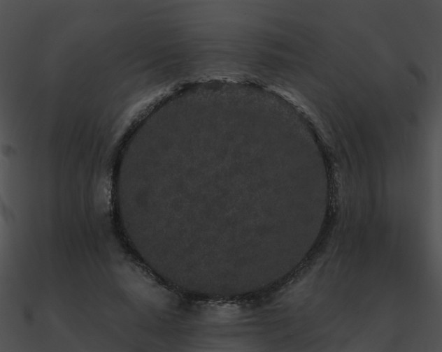 X0000090990640200708021523