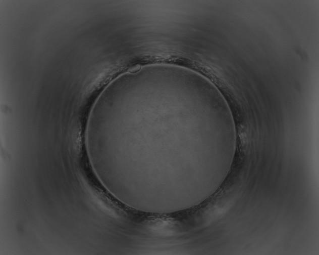 X0000090990642200708021523