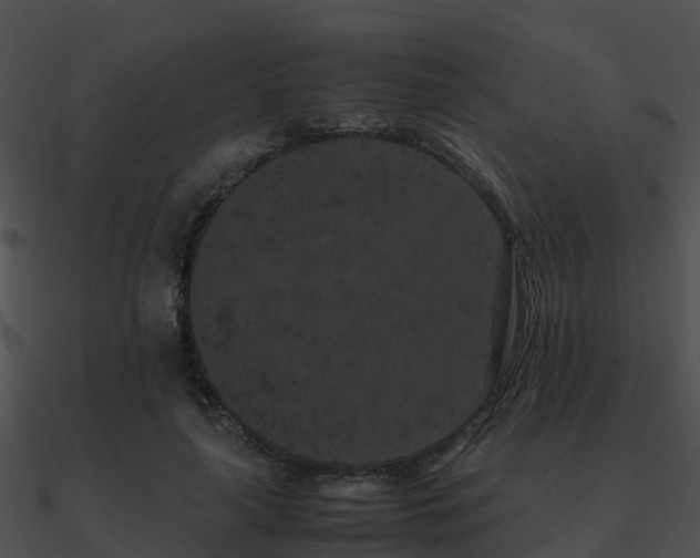 X0000090990643200708021523