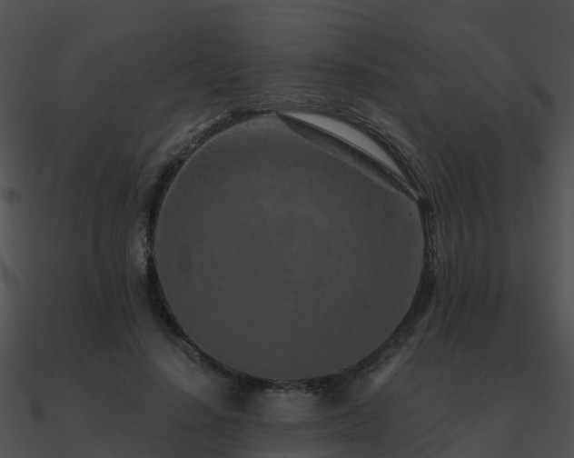 X0000090990644200708021523