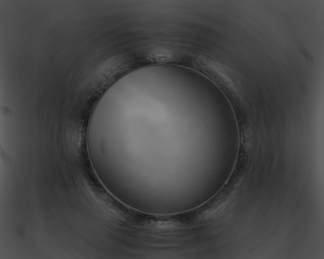X0000090990645200708021523