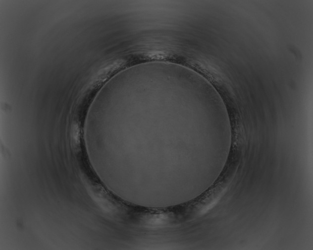 X0000090990646200708021523