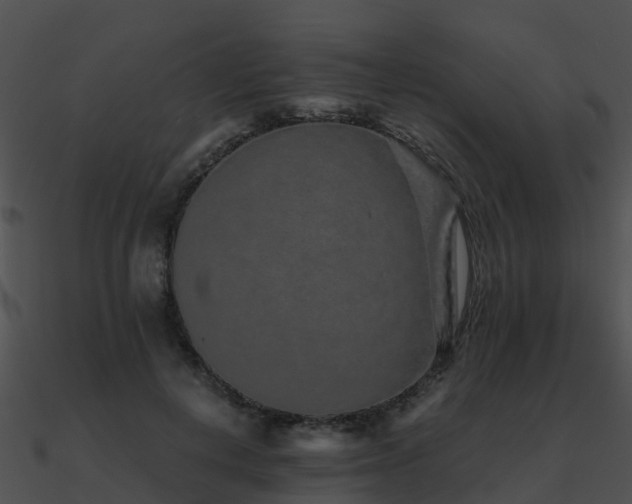 X0000090990648200708021523