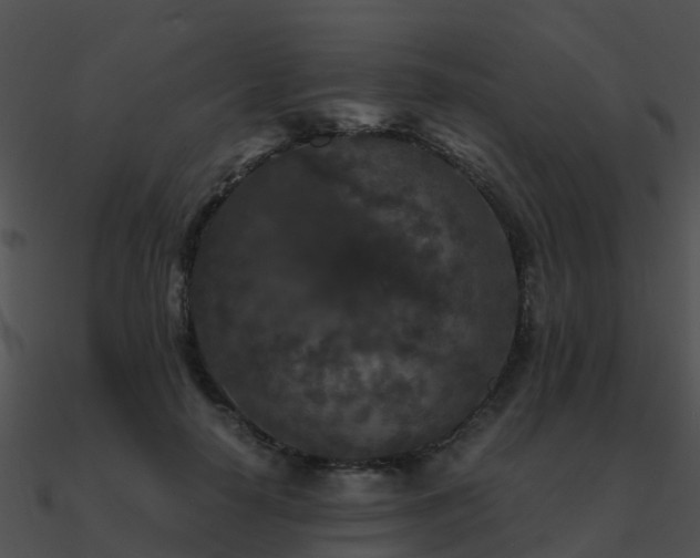 X0000090990650200708021523