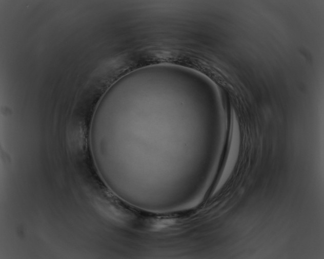 X0000090990651200708021523