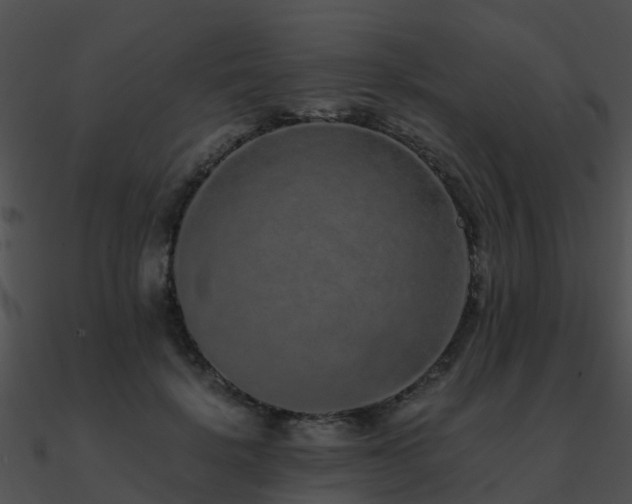 X0000090990652200708021523
