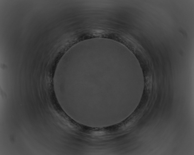 X0000090990653200708021523