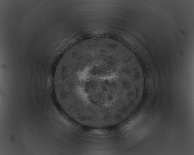 X0000090990654200708021523