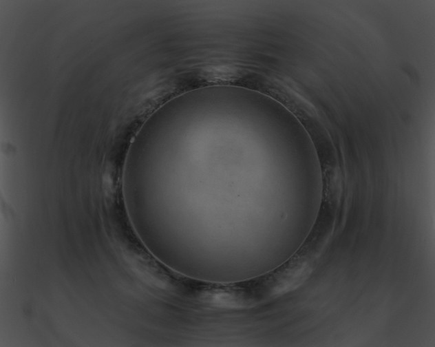 X0000090990655200708021523