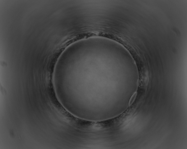 X0000090990656200708021523