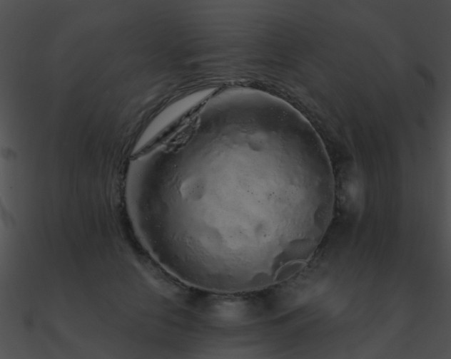 X0000090990658200708021523