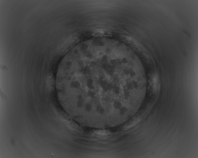 X0000090990659200708021523