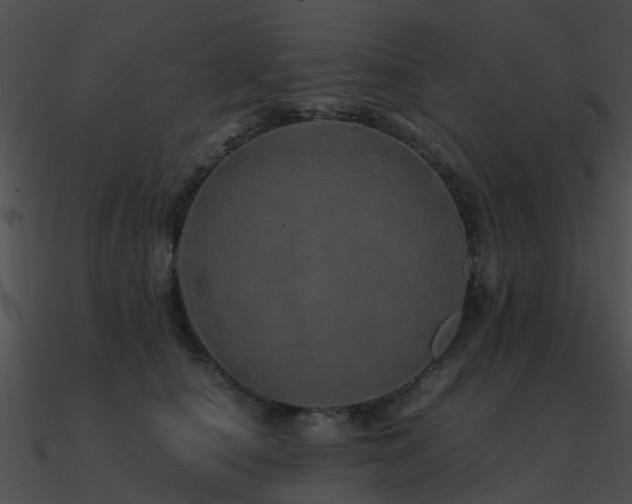 X0000090990660200708021523