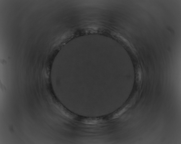 X0000090990661200708021523