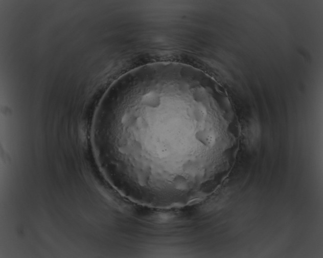 X0000090990662200708021523