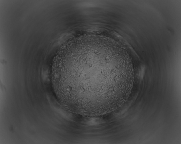 X0000090990663200708021523
