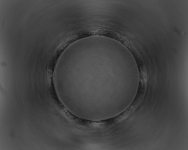 X0000090990664200708021523