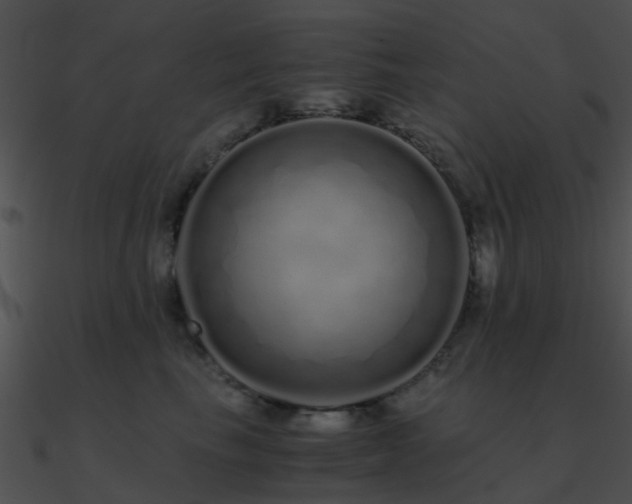 X0000090990665200708021523