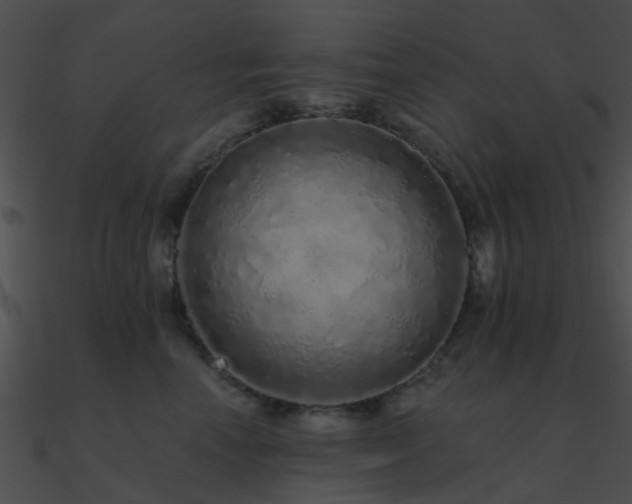 X0000090990666200708021523