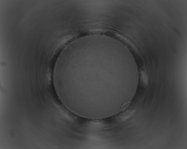 X0000090990668200708021523