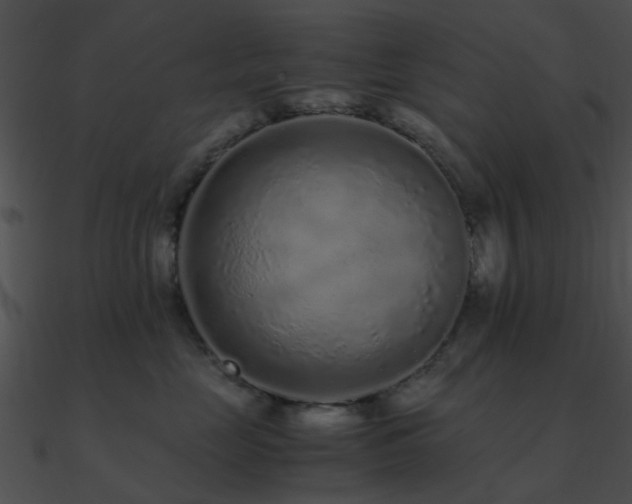 X0000090990669200708021523