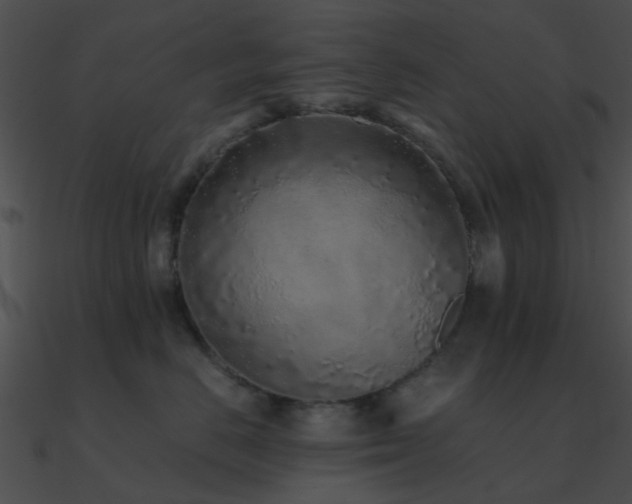 X0000090990670200708021523