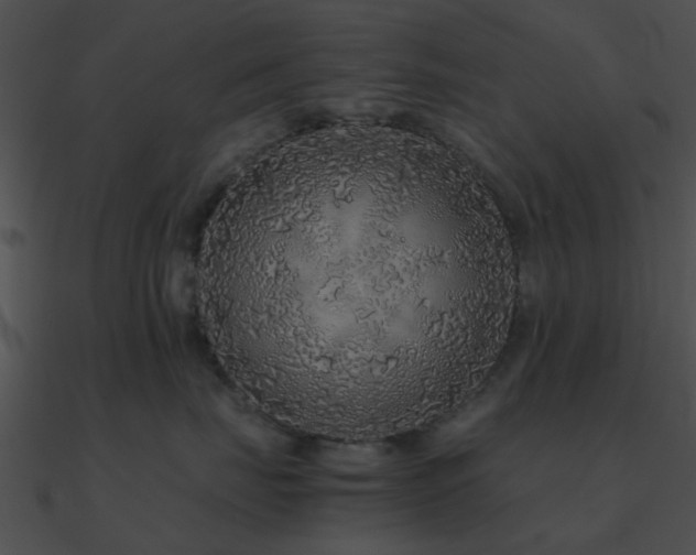 X0000090990671200708021523