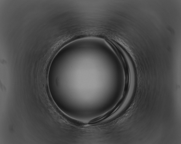 X0000090990673200708021523