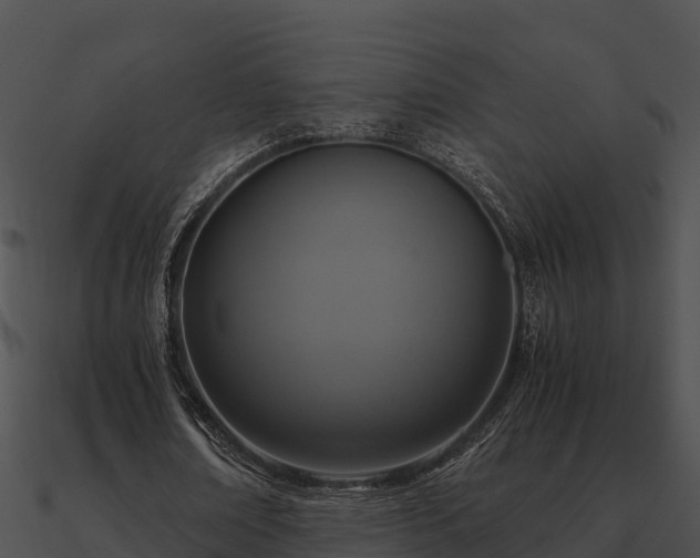 X0000090990674200708021522