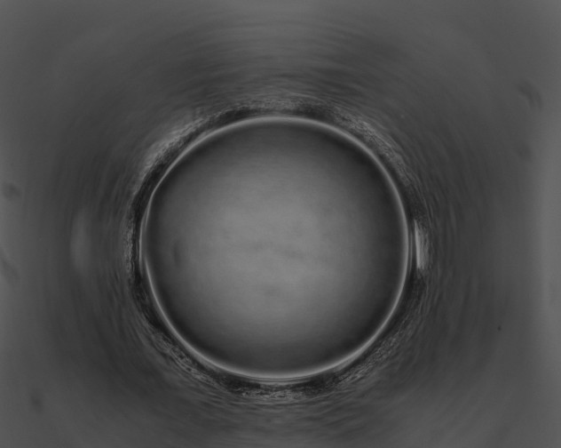X0000090990675200708021522