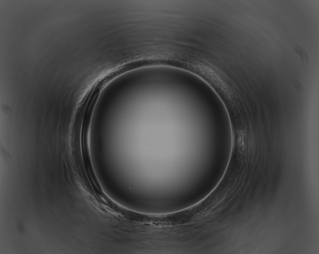 X0000090990676200708021522