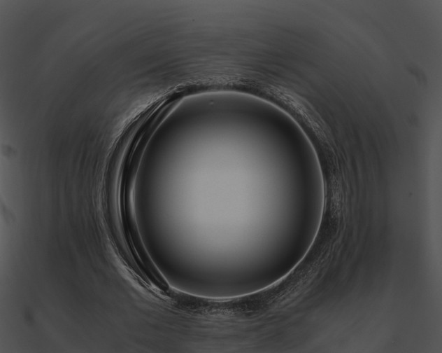 X0000090990677200708021522