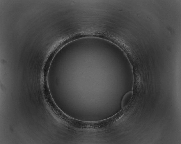 X0000090990678200708021522