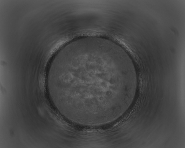 X0000090990679200708021522