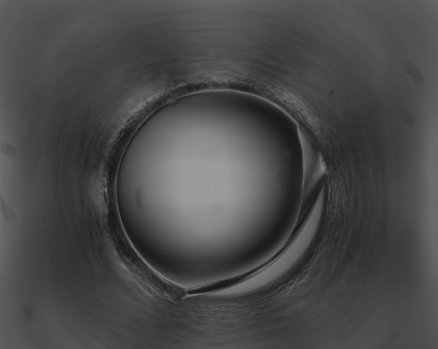 X0000090990680200708021522