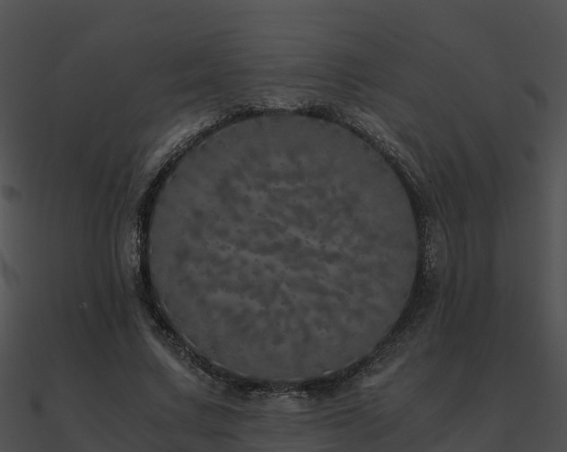 X0000090990683200708021522
