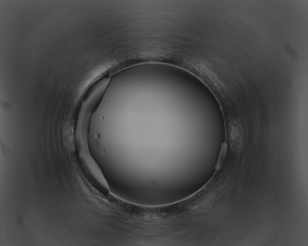 X0000090990684200708021522