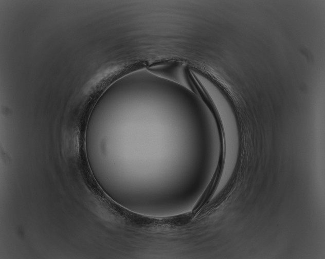 X0000090990685200708021522