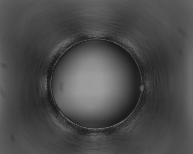 X0000090990686200708021522
