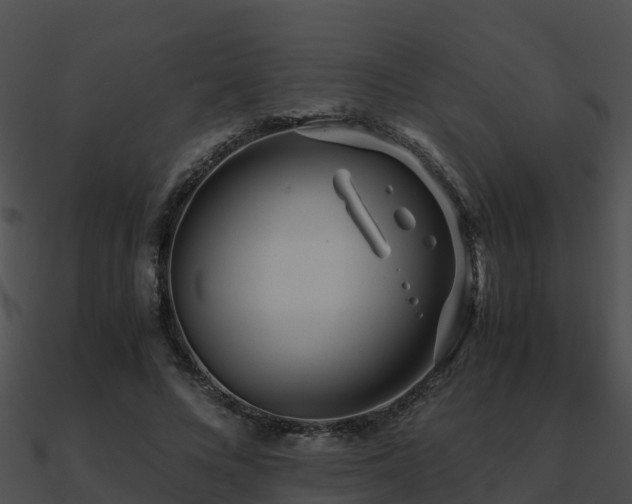 X0000090990688200708021522