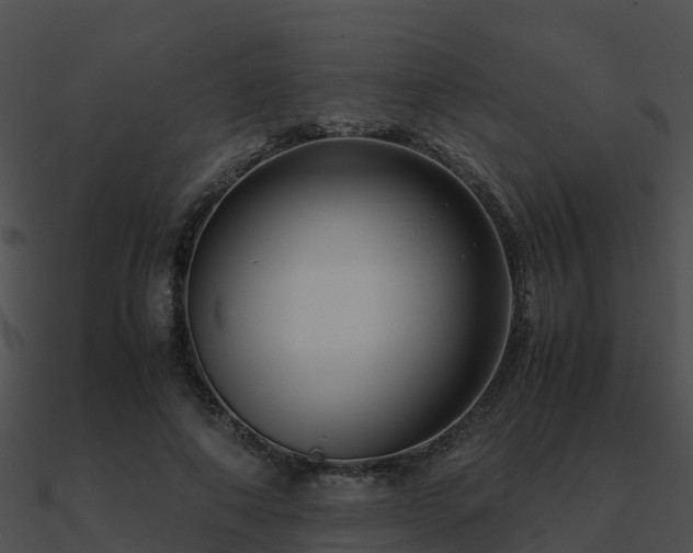 X0000090990690200708021522